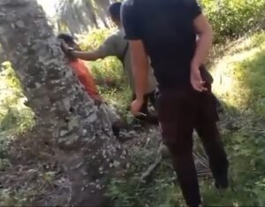 Bentrok di Lahan Sawit PT. Agricinal, Dua Warga Jadi Korban