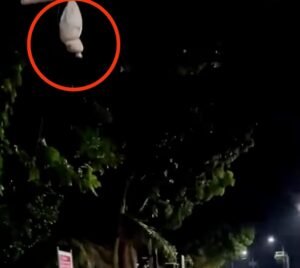 Aksi Jahil Anak-Anak di Dumai Takuti Warga dengan Pocong Palsu