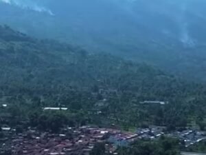 200 Hektare Lahan Gambut di Gunung Guntur Hangus Terbakar