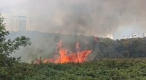 Kebakaran Melanda Lahan Alang-Alang di Kemayoran