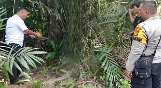 Miris! Siswi SMP Alami Kekerasan Seksual, 3 Pelaku Masih di Bawah Umur
