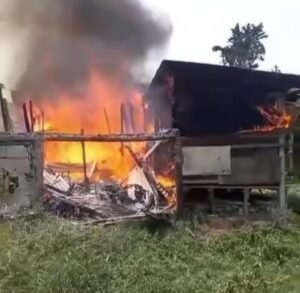Kebakaran Kandang Kambing di Sukapura, 14 Ekor Kambing Hangus Terbakar