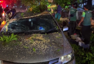 Dua Pengendara Terluka Akibat Pohon Tumbang di Bandung