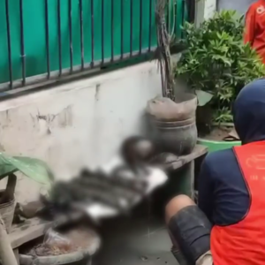 Geger! Warga Ancol Temukan Tengkorak Manusia