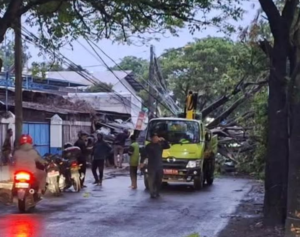 Insiden Pohon Tumbang Tutup Jalan Karet-Kotabumi Tangerang