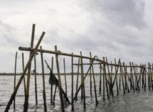 Pagar Laut Misterius di Tangerang, Pemerintah Tak Pernah Beri Izin