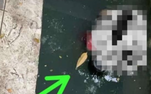 Mayat Tanpa Identitas Ditemukan Mengambang di Saluran Air Koja