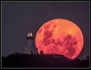 Wow! Fenomena Langka Blood Moon Terjadi 14 Maret 2025