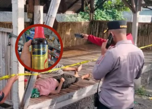 Pasutri di Denpasar Tewas Diduga Minum Racun Serangga