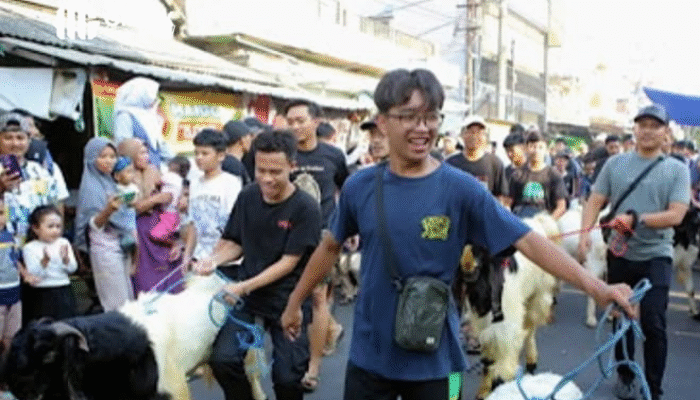 Arakan Kambing dan Kontes Kostum Unik Meriahkan Idul Adha di Kalitutup