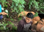 Pendaki Hilang Asal Karawang Ditemukan Selamat di Lembah Gunung Cikuray