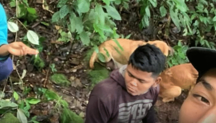 Pendaki Hilang Asal Karawang Ditemukan Selamat di Lembah Gunung Cikuray