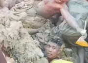 Mangga Ilegal Disiram Cairan Pembusuk, Warga Asahan Nekat Gali Kembali