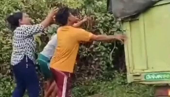 Miris! Truk Kecelakaan di Banyuasin Dijarah Warga