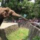 Jual Lahan TNTN Secara Ilegal, Batin Gadungan Ditangkap