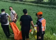 Nahas! Nenek di Tulungagung Tewas Tertabrak KA Malabar