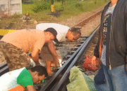 Balita di Tulungagung Tewas Tertabrak KA Gajayana saat Bermain di Rel