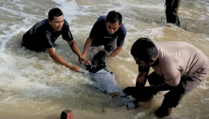 Nekat Terobos Banjir, Dishub Gresik Terseret Arus Kali Lamong