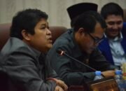 Tinjau Perda 2015, DPRD Karawang Berharap Pemkab Rawat RTH