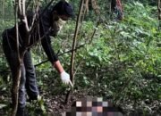 Mayat Misterius Ditemukan Membusuk di Perbukitan Kapur Gresik