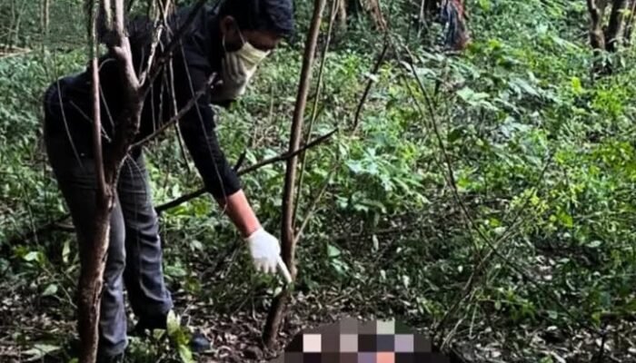 Mayat Misterius Ditemukan Membusuk di Perbukitan Kapur Gresik