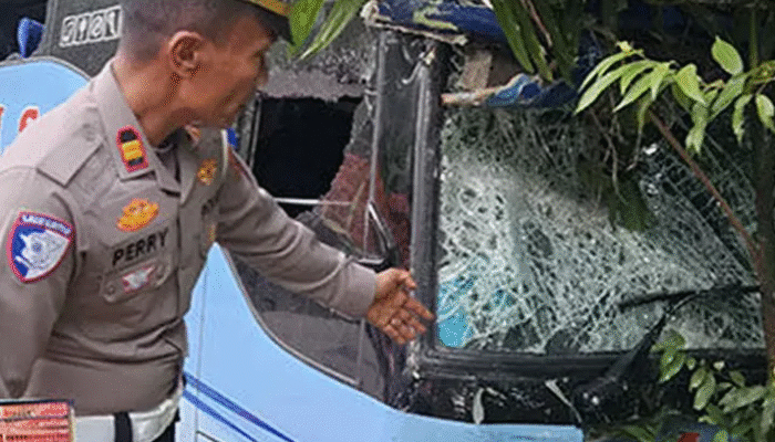 Truk Pengangkut Ayam Alami Kecelakaan dengan Bus di Sijunjung