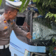 Truk Pengangkut Ayam Alami Kecelakaan dengan Bus di Sijunjung