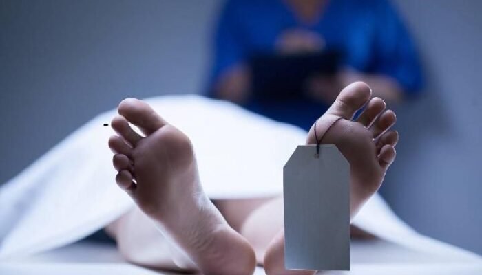 Niat Cari Daun Obat, Lansia Tewas Tertimpa Dongkrak di Jakarta Utara