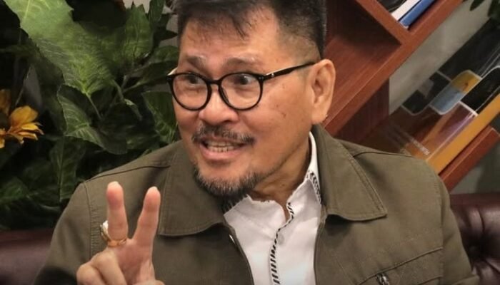 LMKN Ingatkan Putar Suara Alam di Kafe Tetap Wajib Bayar Royalti