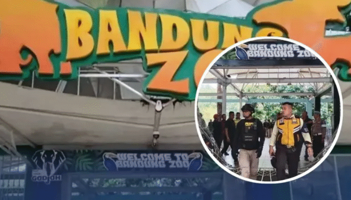 Penutupan Bandung Zoo Berakhir Ricuh, Sejumlah Massa Nekat Terobos Masuk