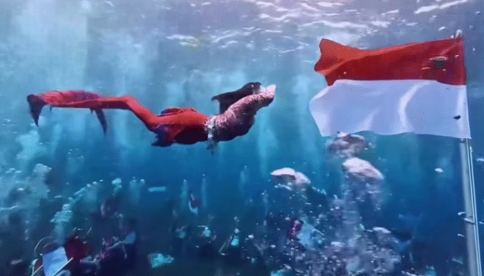 Unik! Gubernur Maluku Utara Rayakan HUT ke-80 RI dengan Upacara Bawah Laut