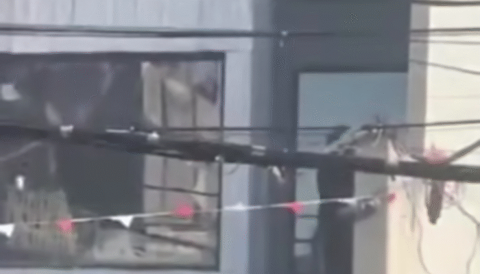 Ratusan Massa Jarah Rumah Ahmad Sahroni, Aksi Damai Berubah Ricuh