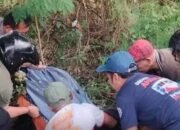 Pengendara Motor di Gresik Tewas usai Menepi ke Pinggir Jalan