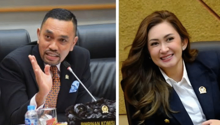 Sahroni dan Nafa Urbach Dinonaktifkan NasDem Imbas Kontroversi Tunjangan DPR