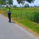 Tragis! Pejalan Kaki Tewas usai Ditabrak Motor di Kedamean Gresik