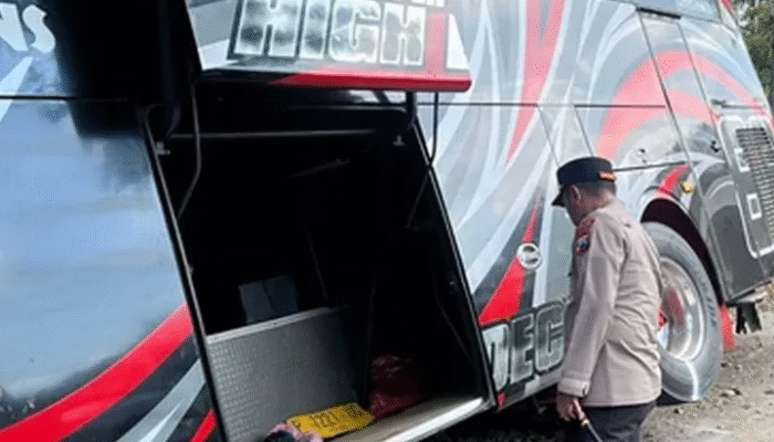 Nahas! 8 Karyawan RS Bina Sehat Jember Tewas dalam Kecelakaan Bus di Lereng Bromo