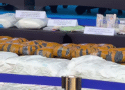 BNN Berhasil Lumpuhkan 11 Jaringan Narkotika, 53 Tersangka Ditangkap