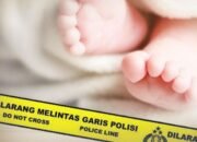 Kasus Pembuangan Bayi Gegerkan Warga Cipete Utara, Pelaku Ternyata Belum Bersuami
