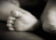 Geger! Bayi Perempuan Ditemukan Terbungkus Kresek Putih di Gresik