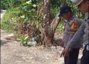 Tragis! Balita di Gowa Tewas Tertabrak Truk Saat Bermain di Depan Rumah