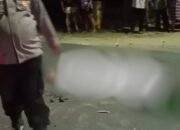 Kecelakaan di Kedungsumber Gresik, Pengendara Motor Tewas di Tempat