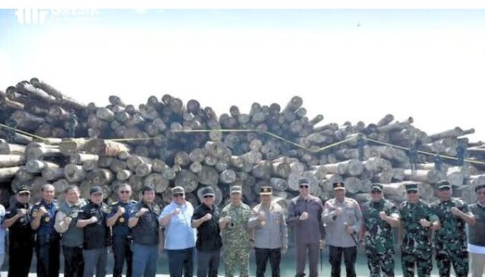 Satgas PKH Bongkar Ilegal Logging Rp 240 Miliar, Ribuan Batang Kayu Disita di Gresik
