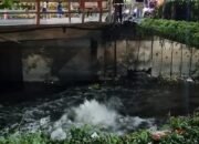 PGN Selidiki Sumber Semburan Air Berbau Gas di Sungai Rungkut Madya Surabaya