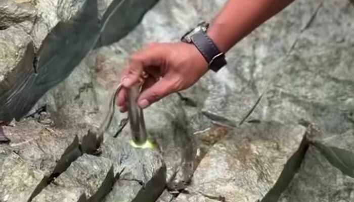 Batu Giok Raksasa Ditemukan di Nagan Raya, Beratnya Capai 5.000 Ton