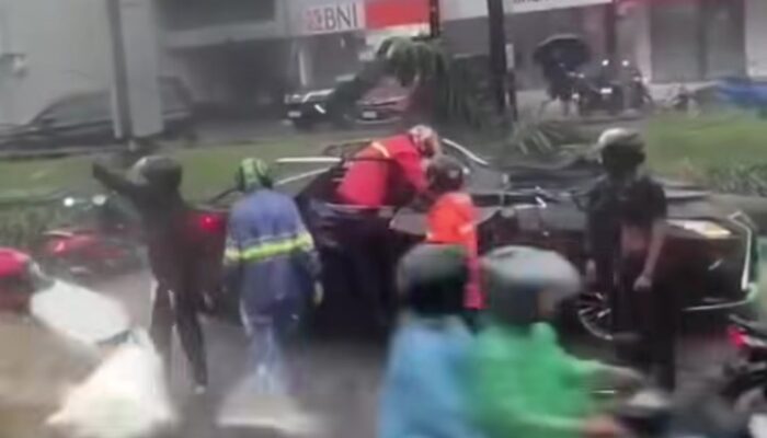 Pengemudi Mobil Lexus Tewas Tertimpa Pohon di Pondok Indah saat Hujan Deras