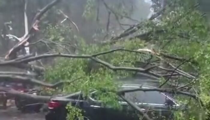 Angin Kencang dan Hujan Deras Guyur Jakarta, Sejumlah Jalan Tergenang dan Tembok TPU Ambruk