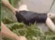Nahas! 4 Mahasiswa UIN Walisongo Tewas Hilang Terseret Arus Sungai di Kendal