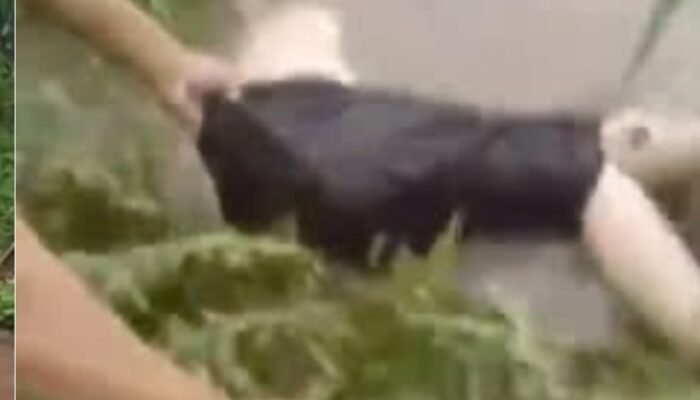 Nahas! 4 Mahasiswa UIN Walisongo Tewas Hilang Terseret Arus Sungai di Kendal