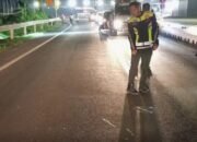 Adu Banteng di Jalan Raya Deandles Gresik, Dua Pengendara Motor Luka-Luka