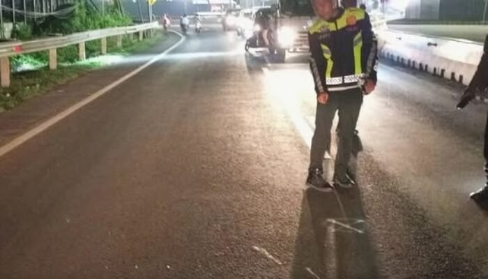 Adu Banteng di Jalan Raya Deandles Gresik, Dua Pengendara Motor Luka-Luka